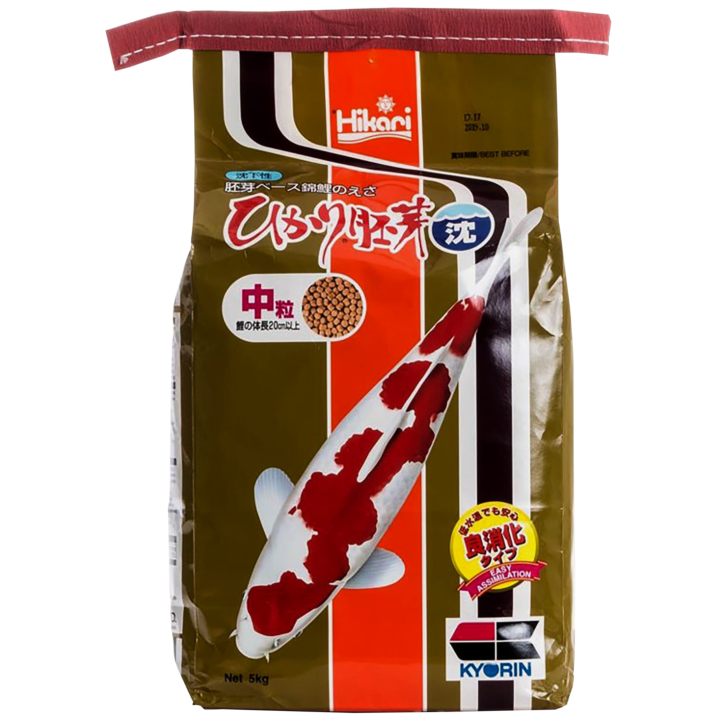 Dier, Karper, Vis, Zeeleven, Koi