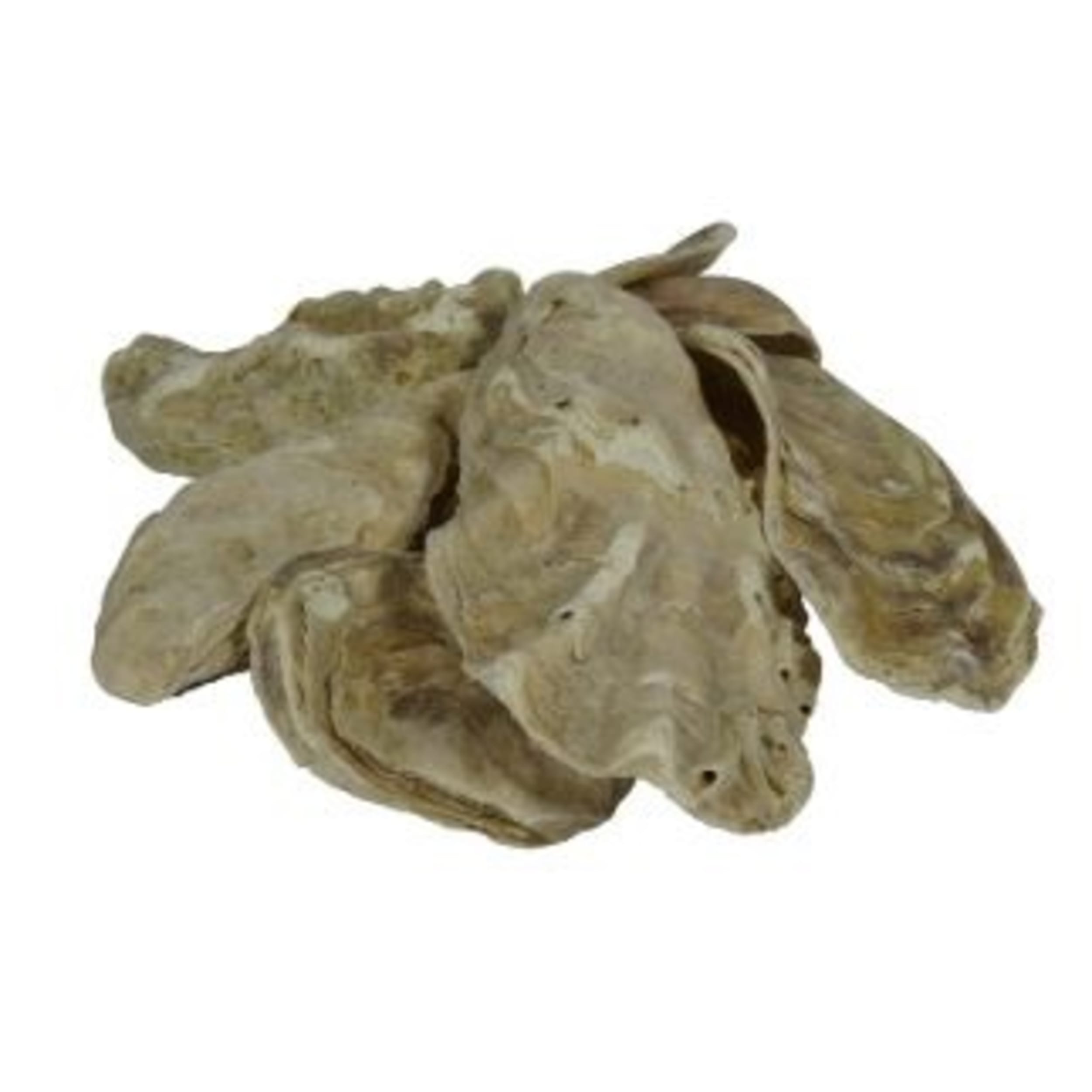 Oesterschelpen in zak 5kg Dier, Zeeleven, Voedsel, Zeevruchten