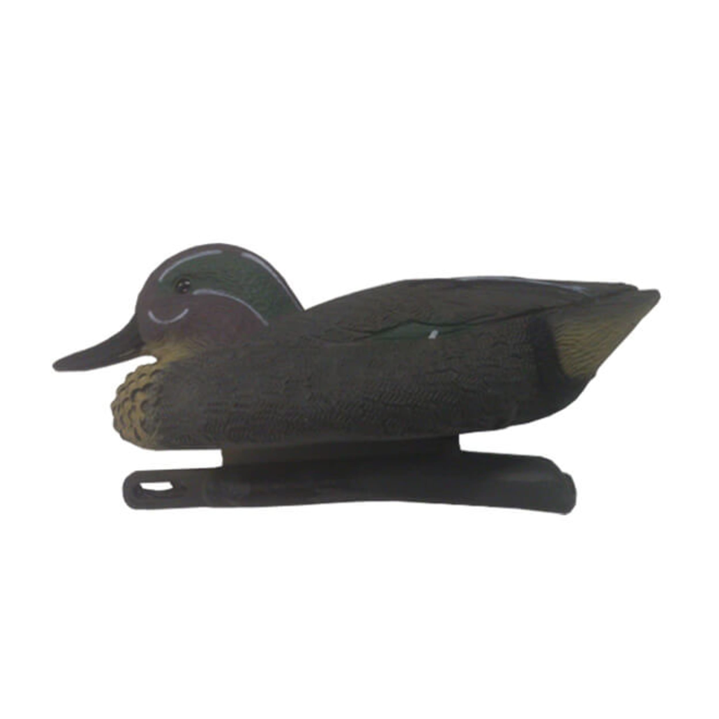 Dier, Vogel, Anseriformes, Watervogels, taling