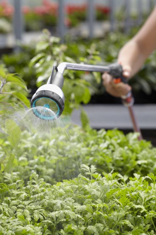 Tuin, Natuur, Buitenshuis, Tuinieren, Binnenshuis