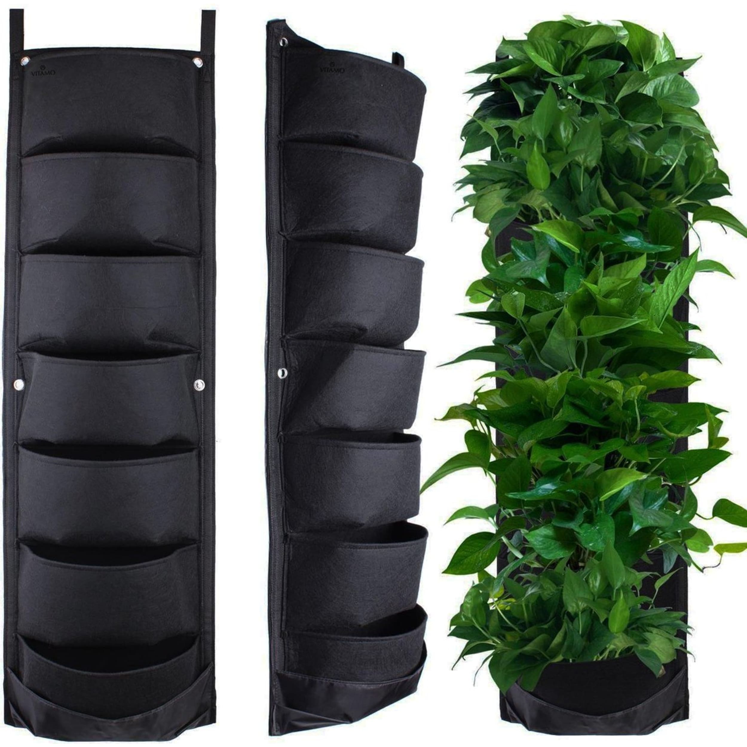 Plant, Potplant, Planter, Vaas, Blad