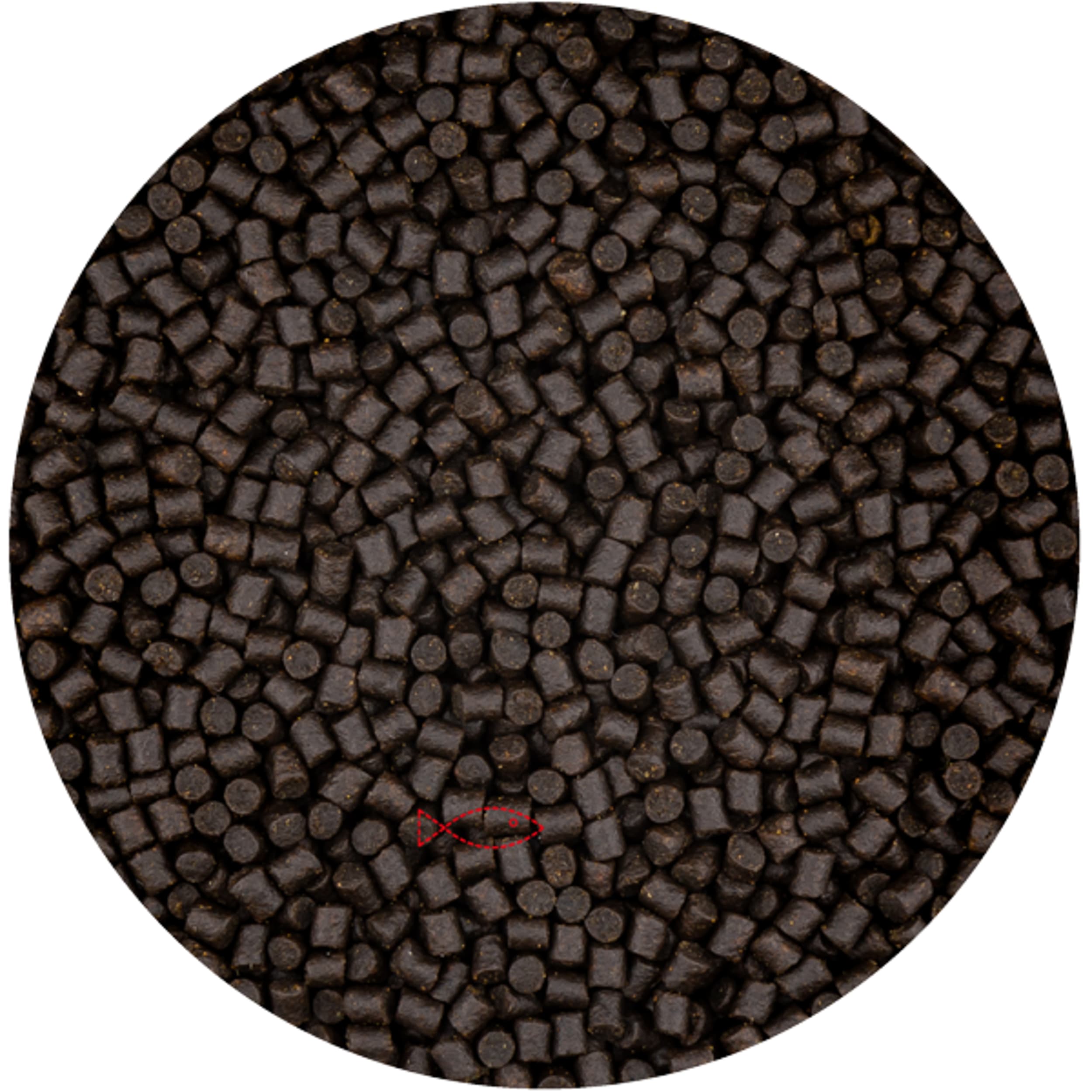 Pad, Weg, Woondecoratie, Kiezelsteen, Kasseien