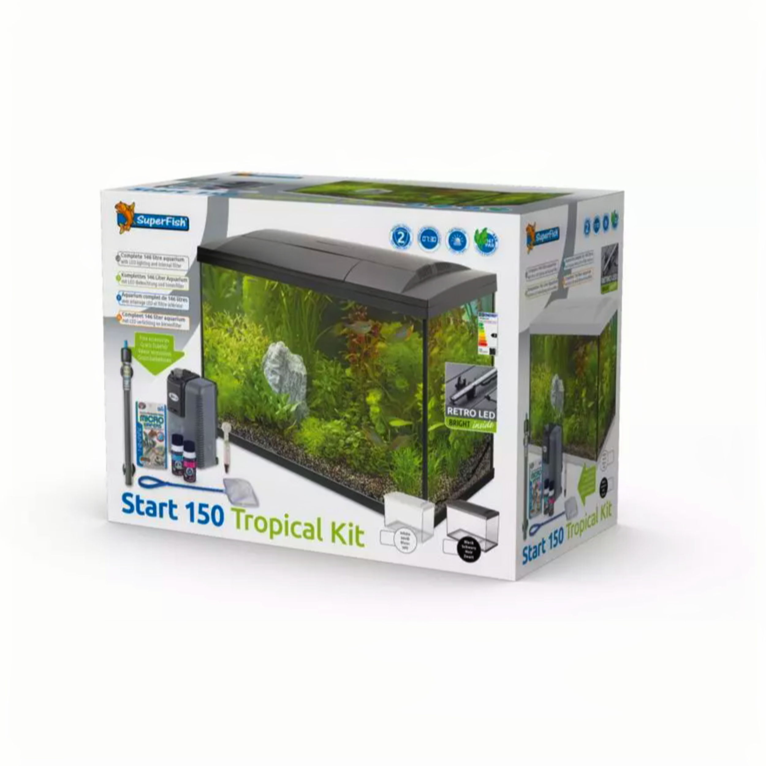 Dier, Aquarium, Vis, Zeeleven, Water