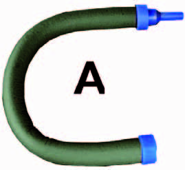 Slang, Dier, Reptiel