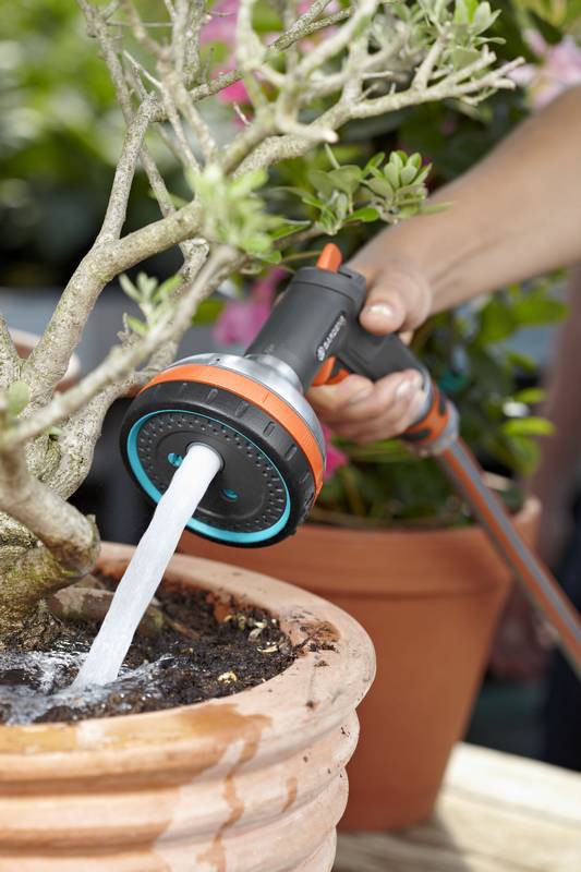 Tuin, Natuur, Buitenshuis, Potplant, Tuinieren