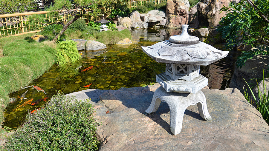 Natuur, Buitenshuis, Vijver, Water, Tuin