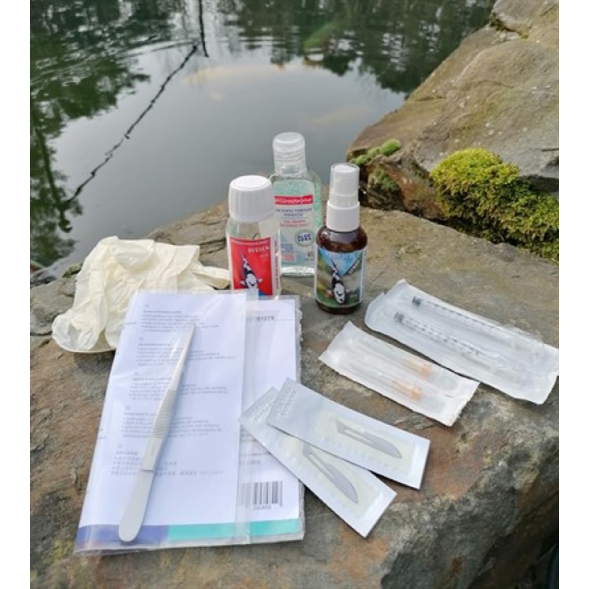 Tekst, Document, Kwitantie