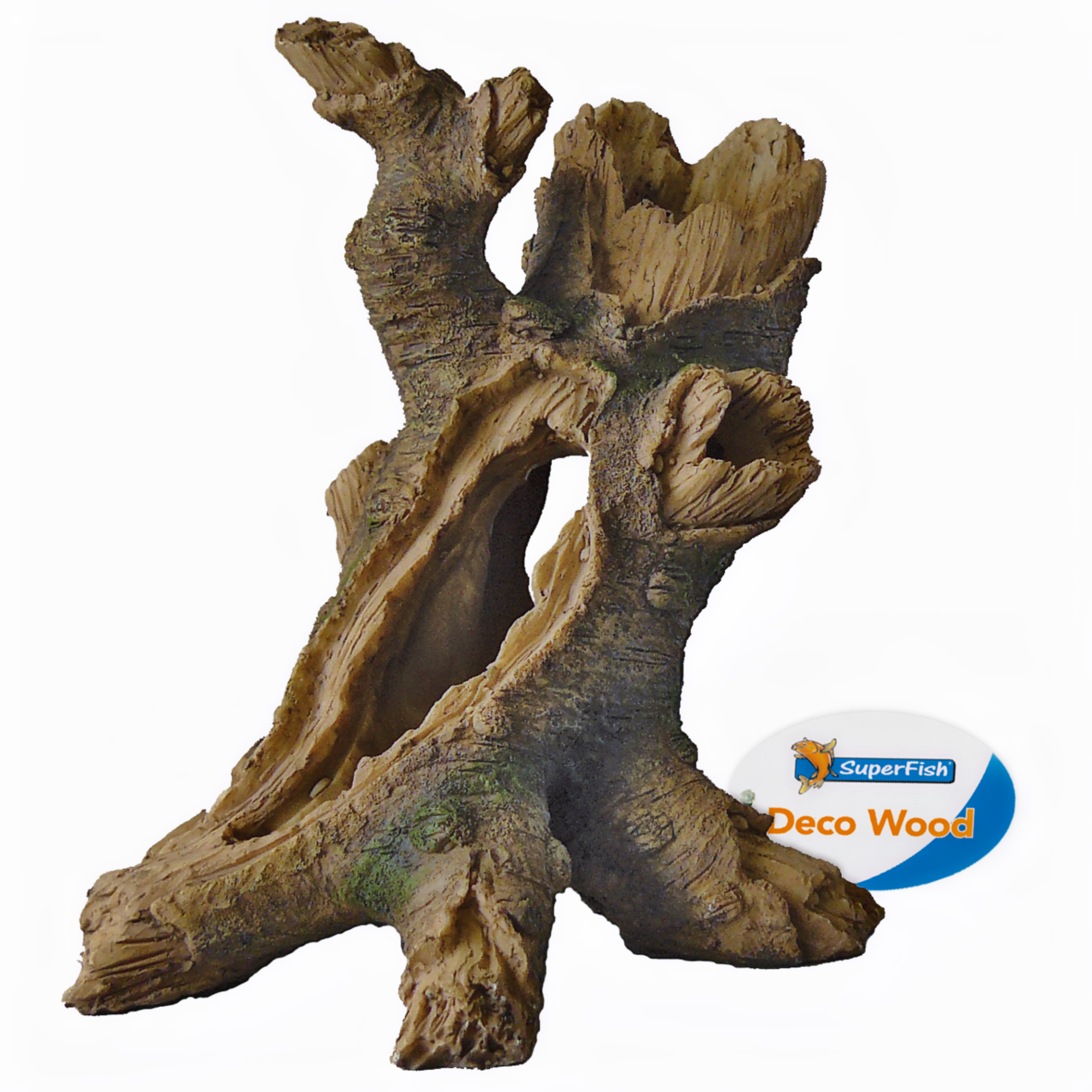 Hout, Plant, Boom, Dinosaurus, Drijfhout