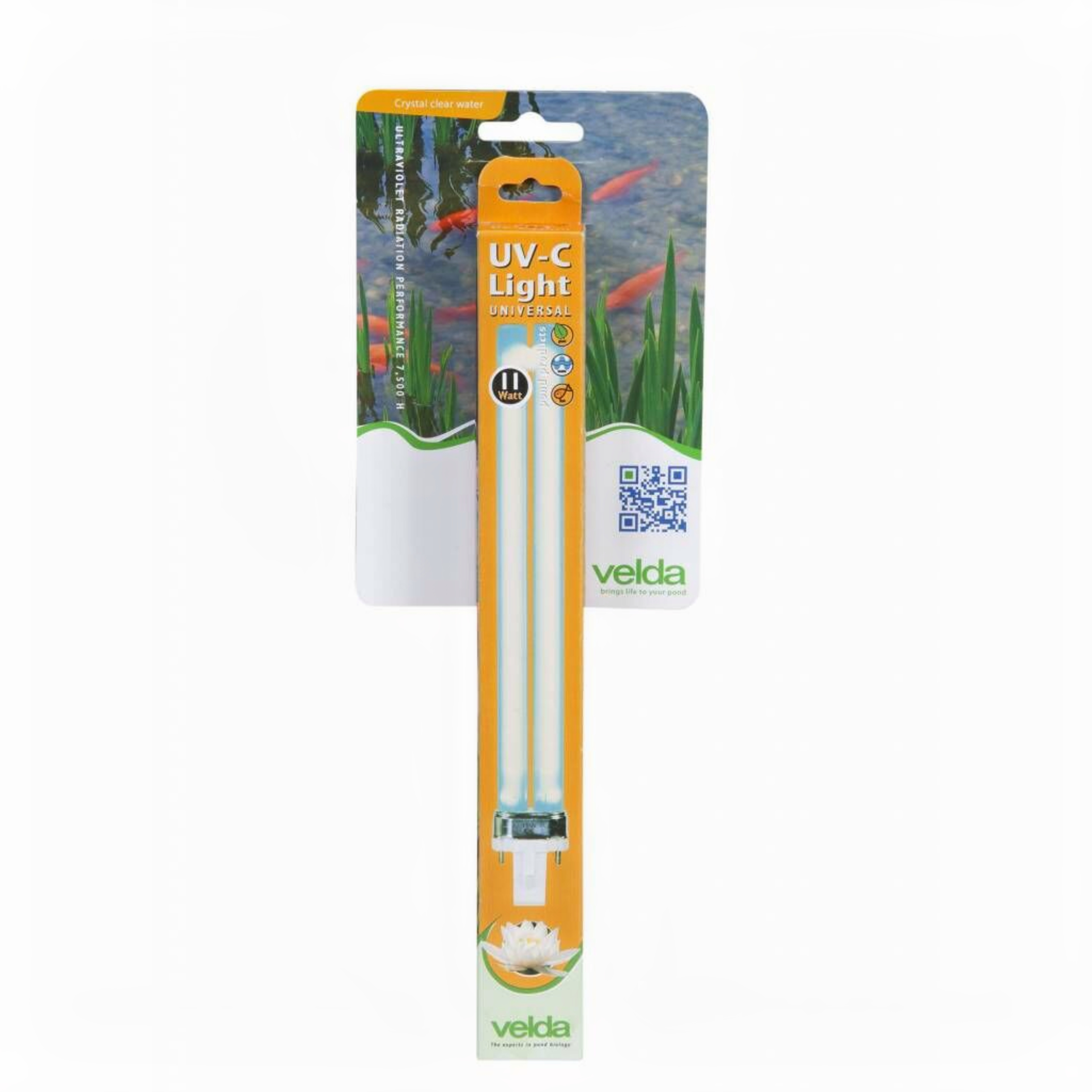 Penseel, Apparaat, Hulpmiddel, Tandenborstel