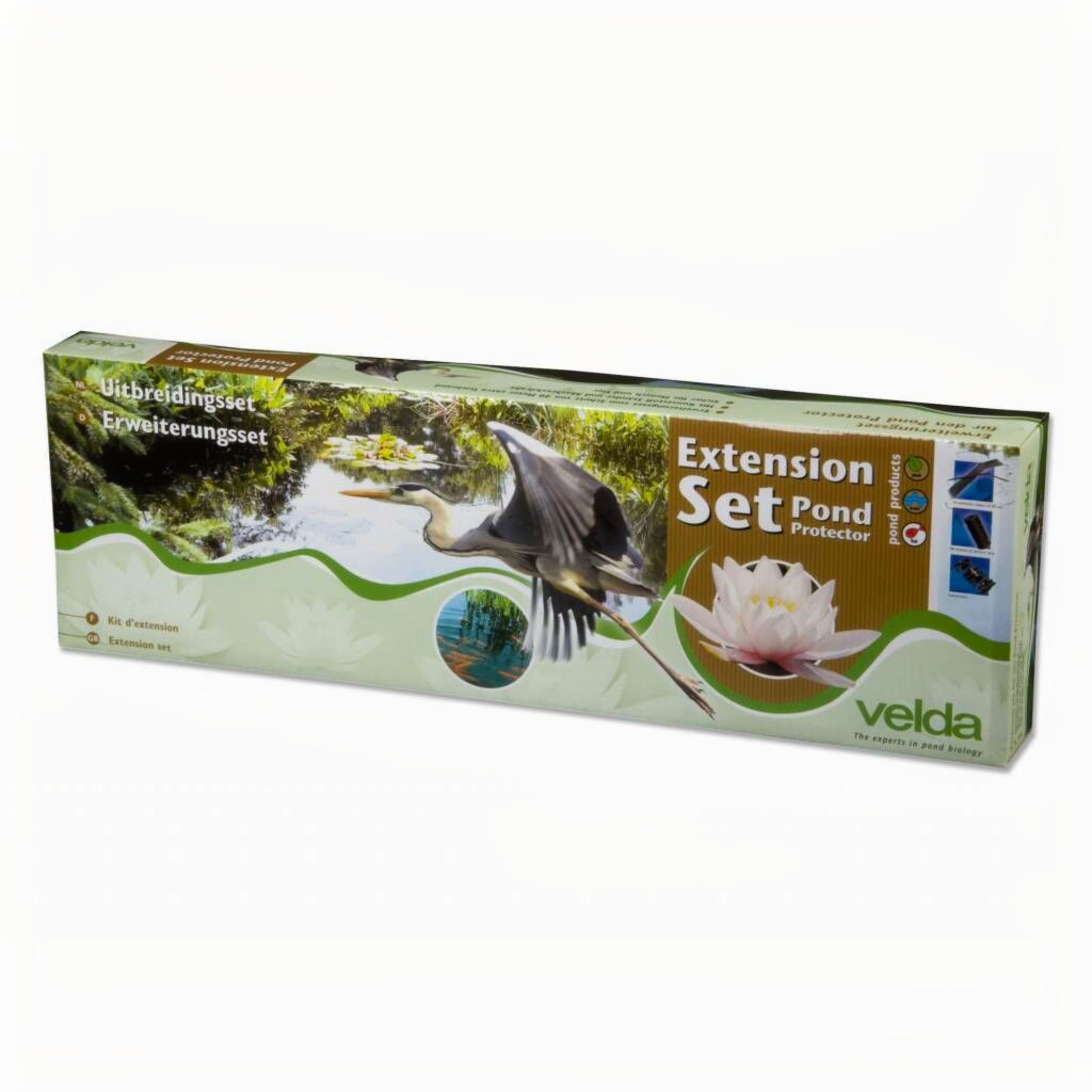 Kruiden, Plant, Dier, Vogel