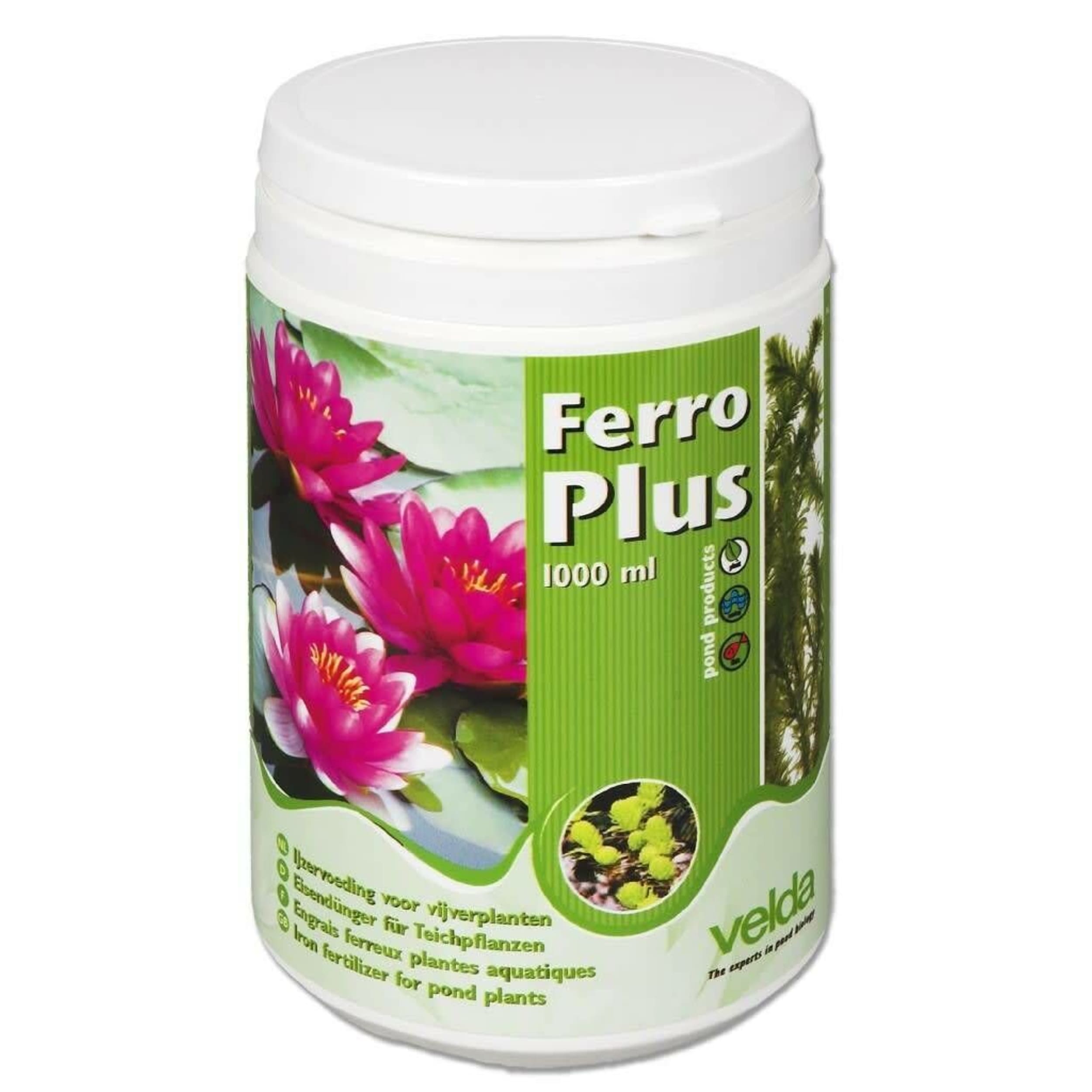 Ferro Plus - 1.000 ml Kruiden, Plant, Bloem, Kan, Tin