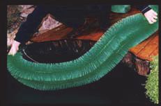 Eierafzetborstel - 130x14 cm - Paaiborstel Eierafzetborstel - 130x14 cm - Paaiborstel